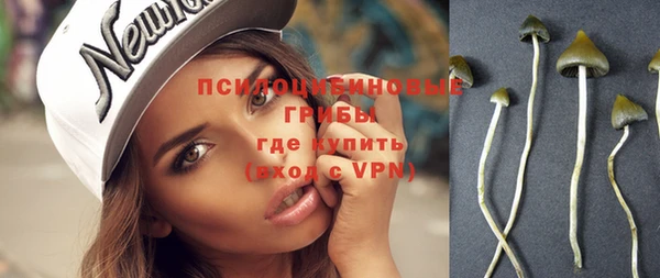 apvp Волосово
