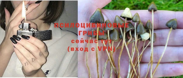 хмурый Вязьма