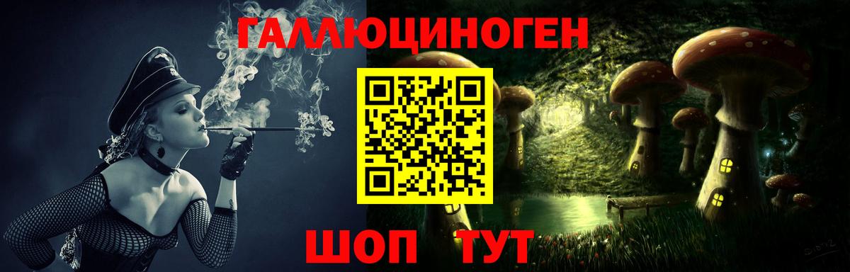 Псилоцибиновые грибы прущие грибы Калач-на-Дону